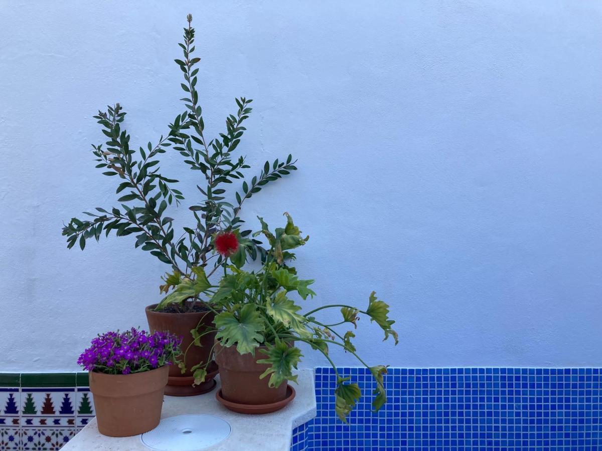 Casa Clemente 32, Private House With Plunge Pool Daire Málaga Dış mekan fotoğraf