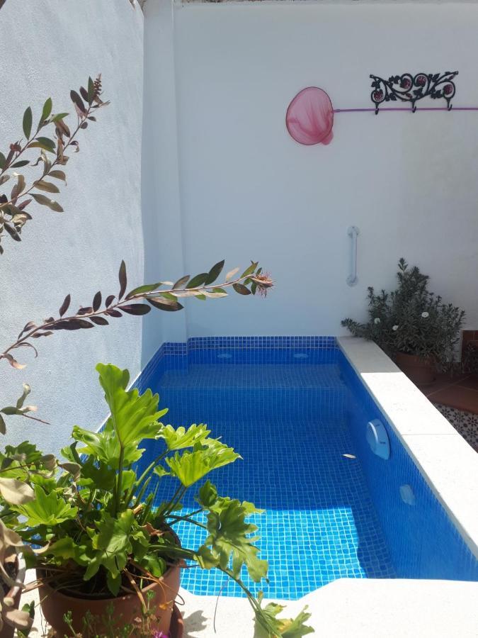 Casa Clemente 32, Private House With Plunge Pool Daire Málaga Dış mekan fotoğraf
