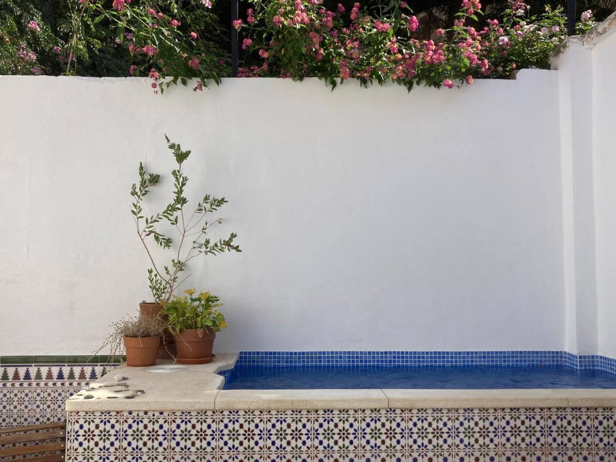 Casa Clemente 32, Private House With Plunge Pool Daire Málaga Dış mekan fotoğraf
